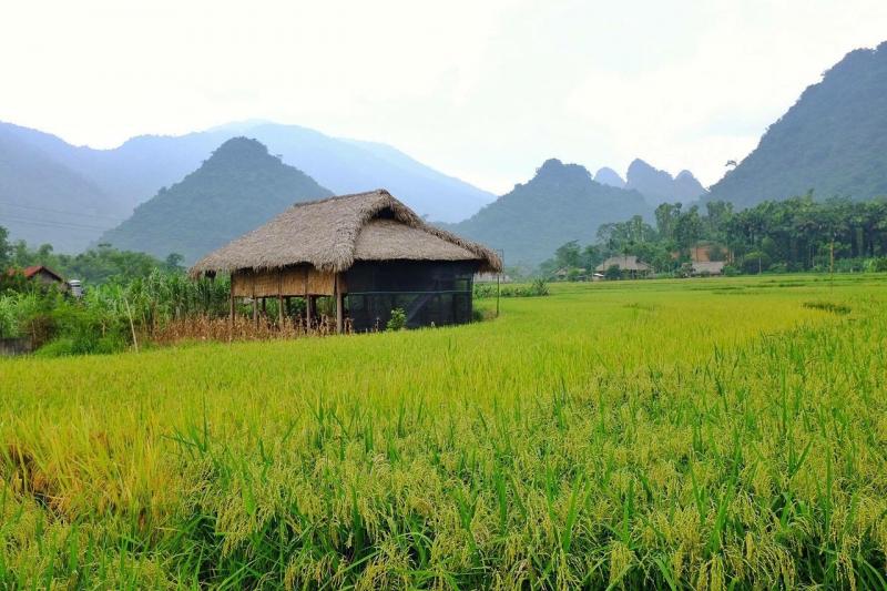 Thiên nhiên trong lành