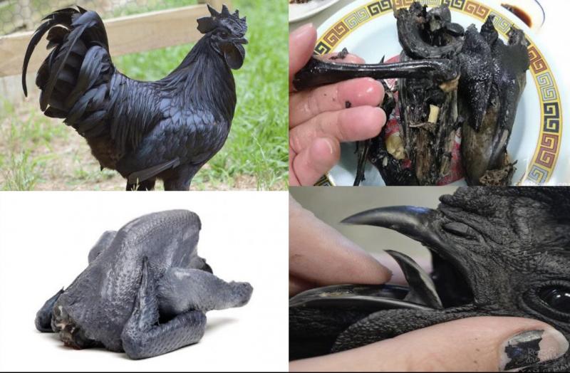 Thịt gà Ayam Cemani