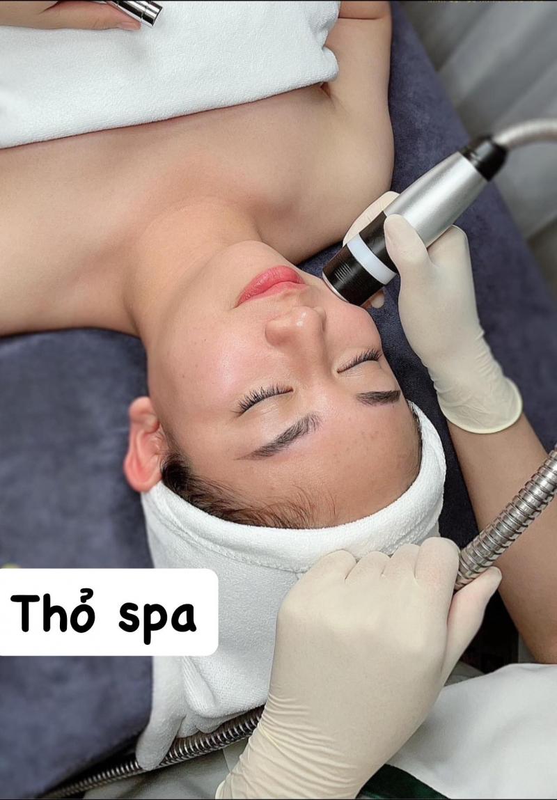 Thỏ Spa