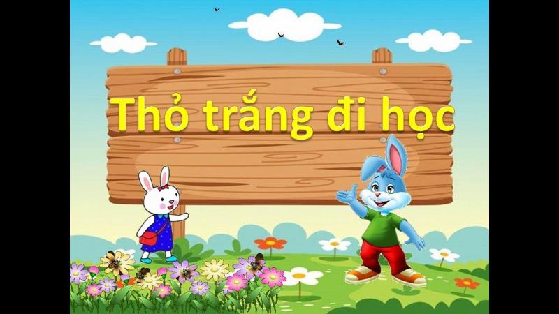 Thỏ trắng đi học