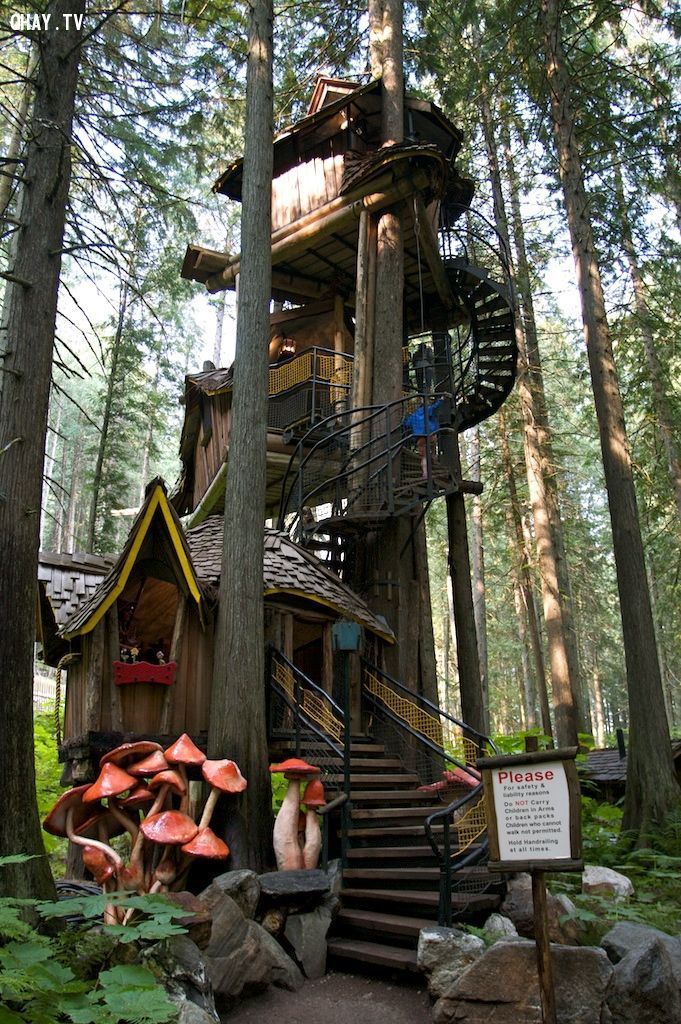 Three Story Treehouse