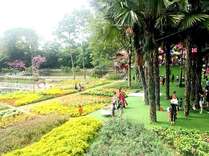 Thu Cúc Garden