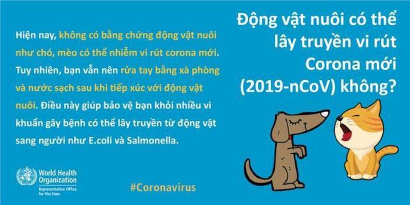 Thú cưng (chó, mèo) không có khả năng lây nhiễm Virus Corona gây bệnh viêm phổi cấp tính cho người. (Ảnh minh họa)