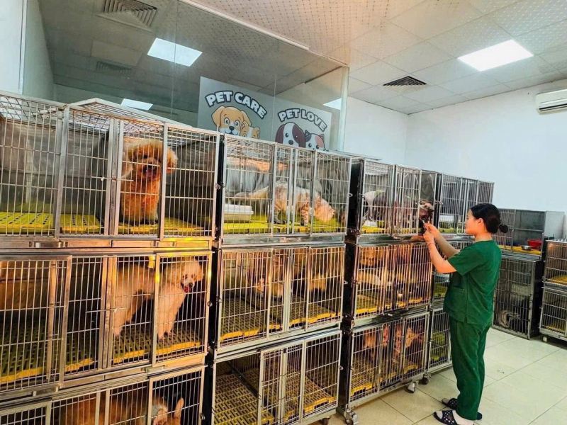 Thú y Cộng Đồng. Bs Nên