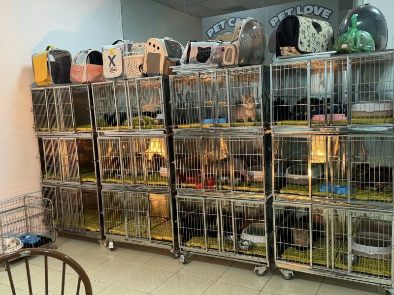 Thú y Cộng Đồng. Bs Nên