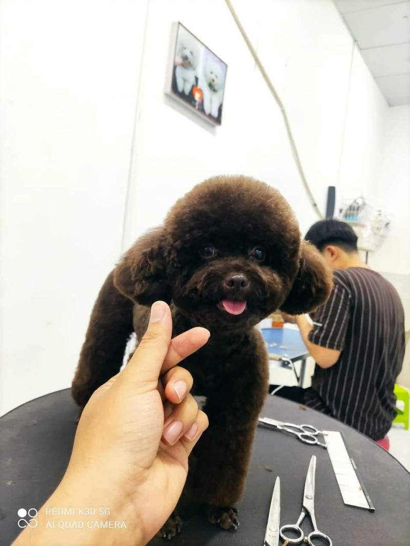 Phòng khám Thú Y Dr Cường