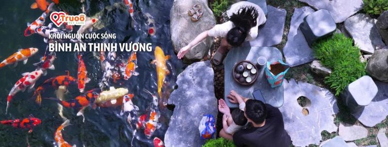Thức ăn cá Koi Nishiki Goi
