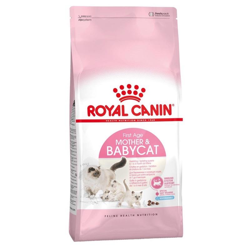 Thức ăn khô Royal Canin