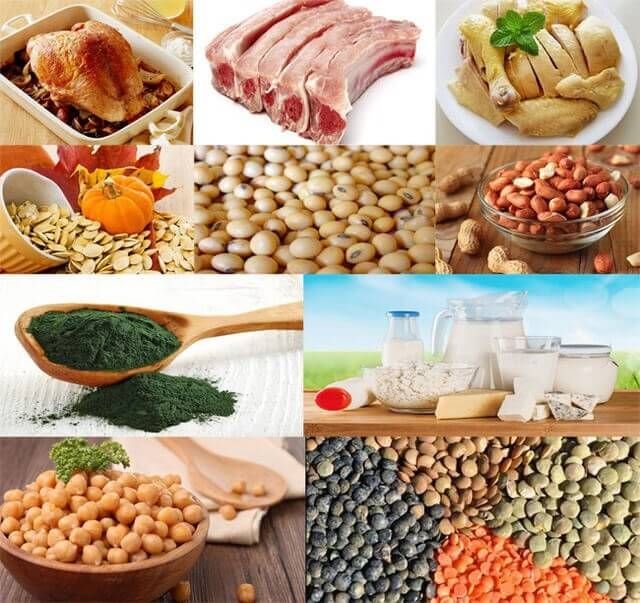 Thực phẩm chứa nhiều protein