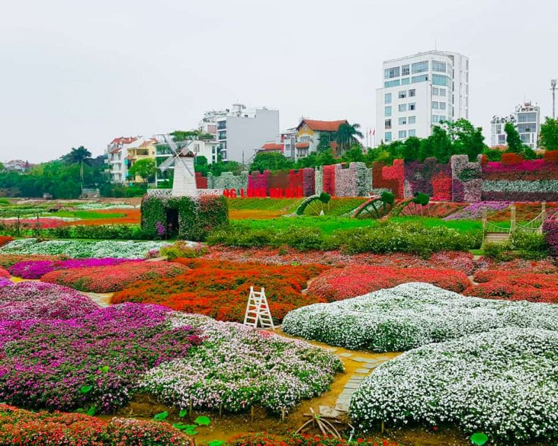 Thung lũng hoa Hồ Tây