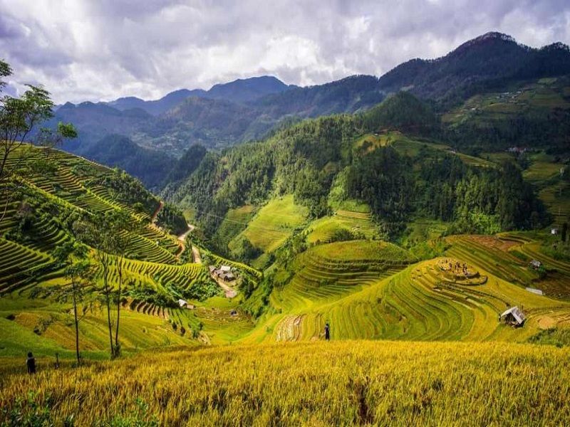 Thung lũng Mai Châu vào vụ cấy