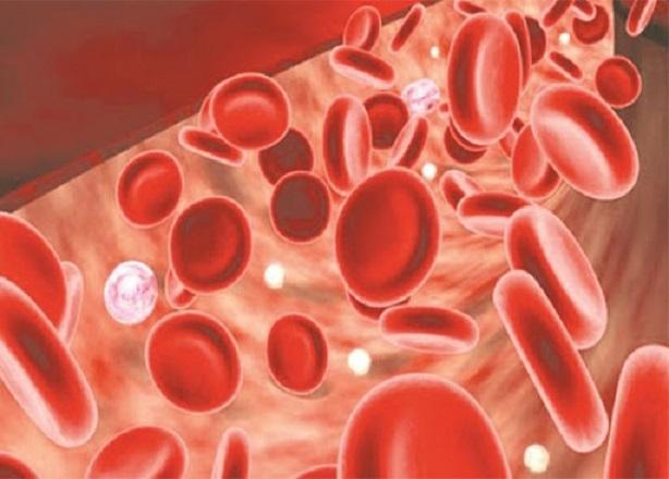 Bổ máu Feromax có chứa nhiều sắt và acid folic giúp tái tạo và tăng lượng máu trên có thể