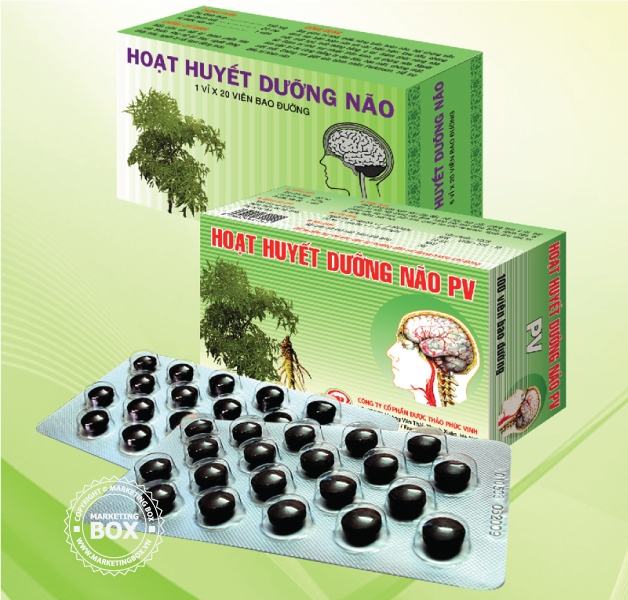 Thuốc bổ não Hoạt huyết dưỡng não