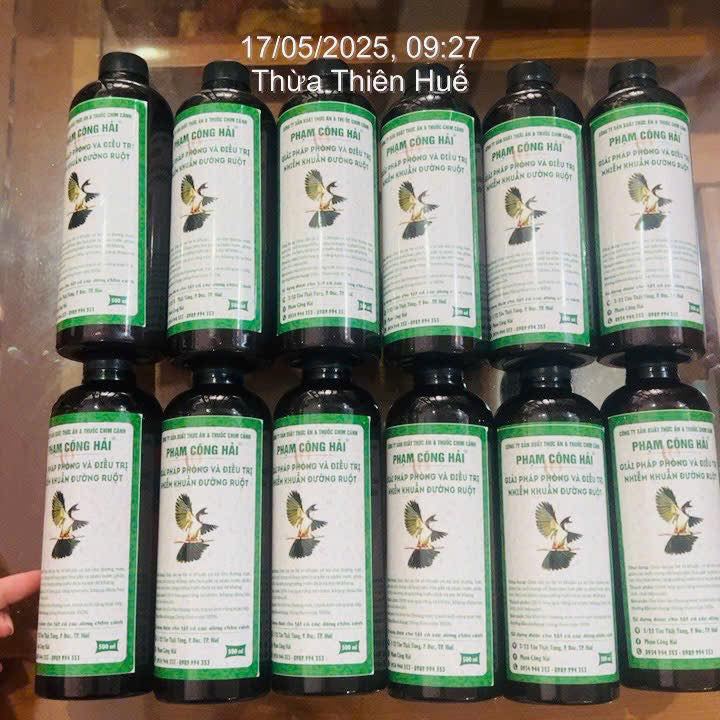 Thuốc Chim Cảnh Phạm Công Hải