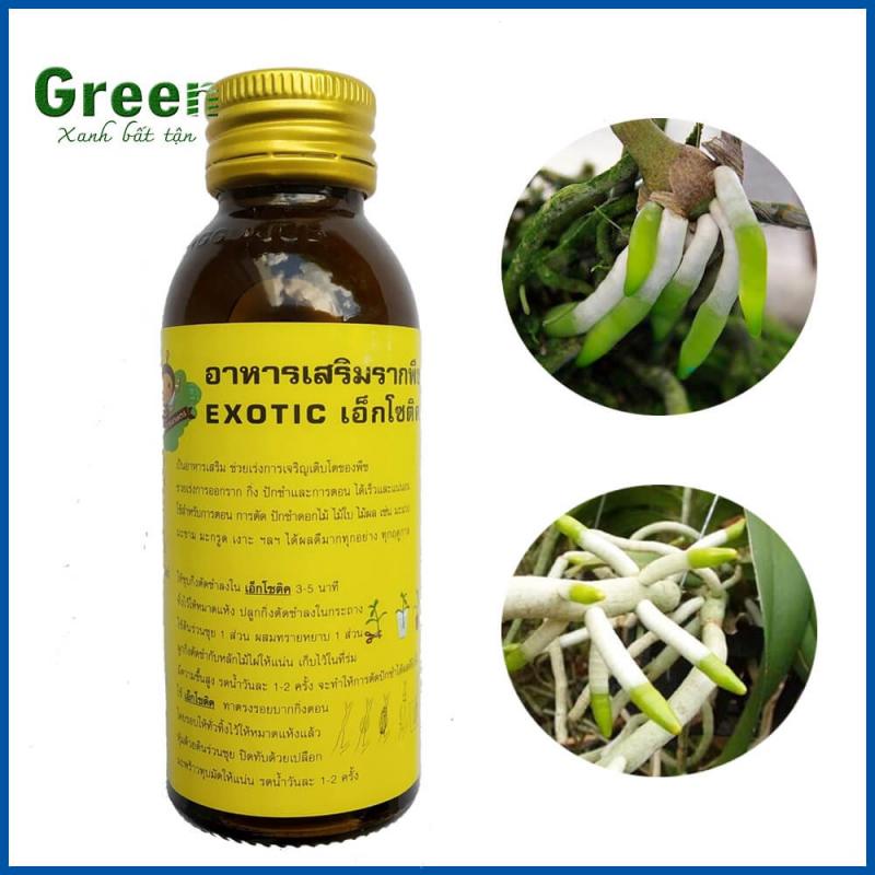 Thuốc kích rễ cây Exotic