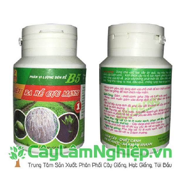 Thuốc siêu ra rễ cực mạnh B5