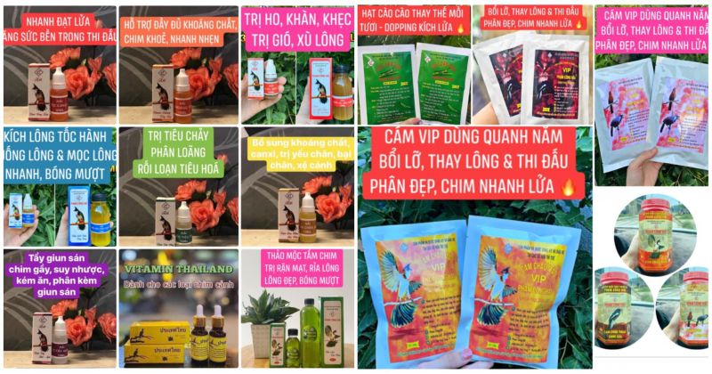 Thuốc tắm chim cảnh Phạm Công Hải