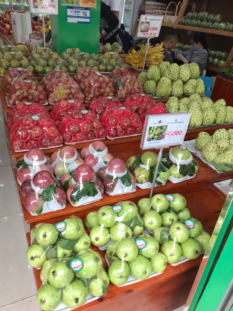 Thủy Anh Fruits