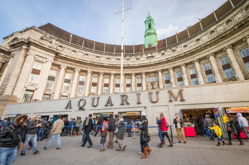 Thủy cung Sea Life London