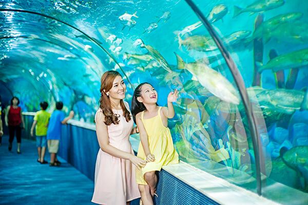 Thủy cung Vinpearl – Vinpearl Aquarium Times City