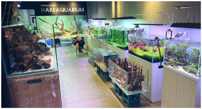 Thuỷ Sinh - Haki Aquarium