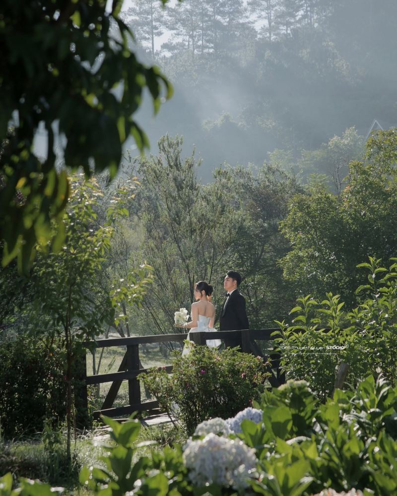 Thuyết Nguyễn Wedding House