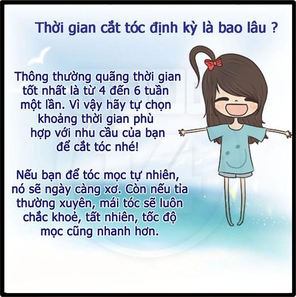 Tỉa tóc định kì