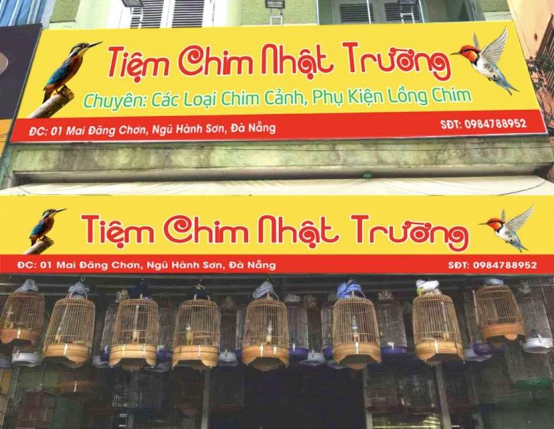 Tiệm chim Nhật Trường