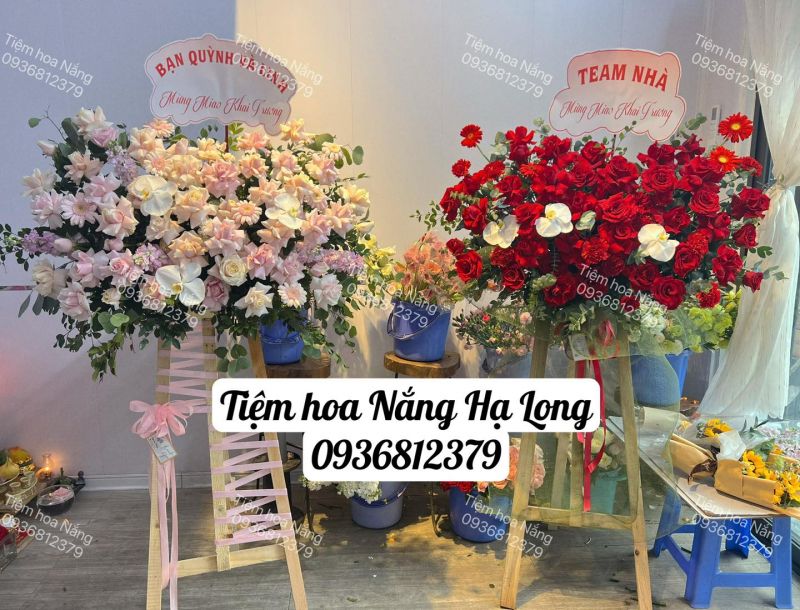 Tiệm Hoa Nắng Hạ Long