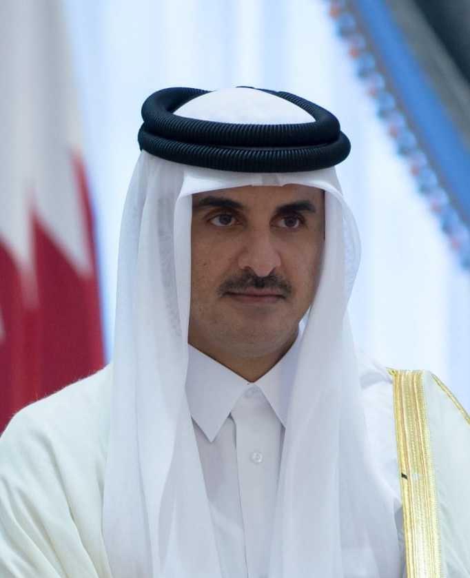 Tiểu vương Sheik Tamim ibn Hamad Al Thani, Qatar