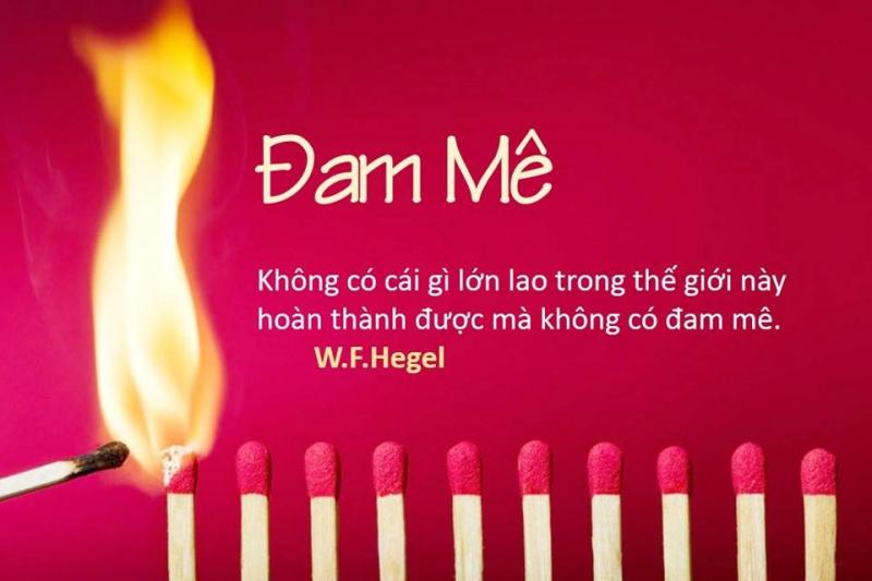 Tìm được đam mê trong quá trình học tập