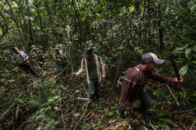 Tìm kiếm thức ăn