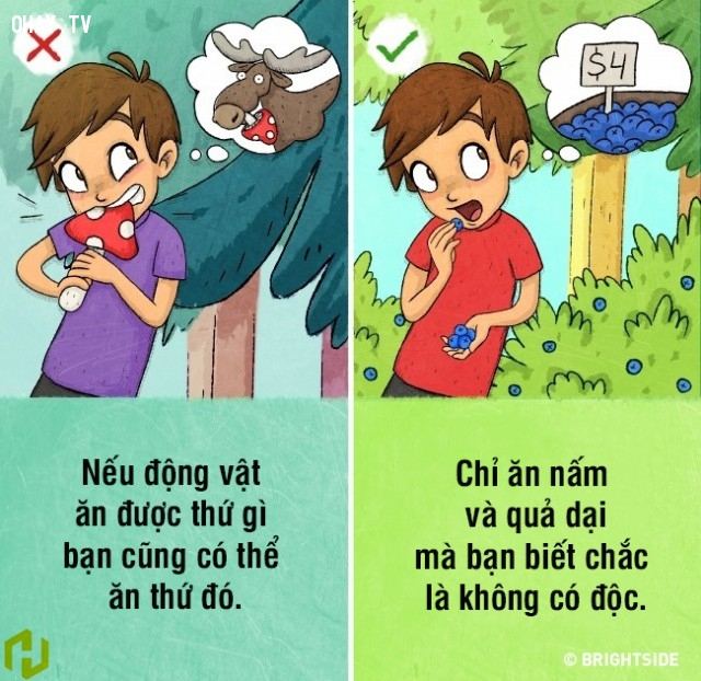 Tìm nguồn thức ăn an toàn