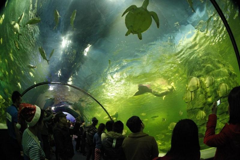 Thủy cung Vinpearlland Aquarium - Times City