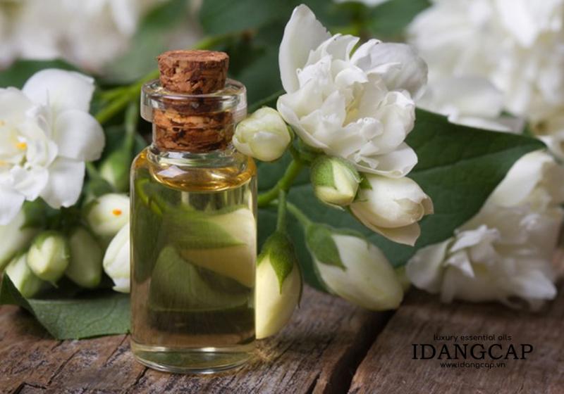 Tinh Dầu Hoa Nhài (Lài) Nguyên Chất – Jasmine Essential Oil