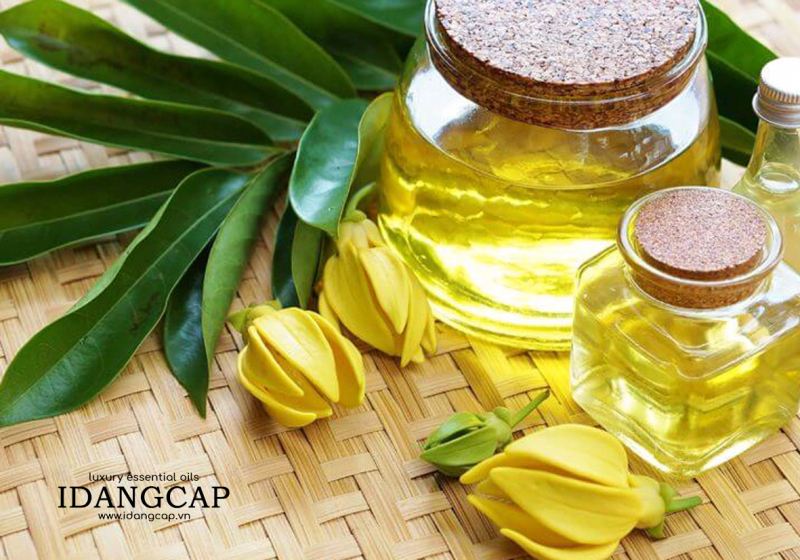 Tinh dầu Ngọc Lan Tây Nguyên Chất – Ylang Essential Oil