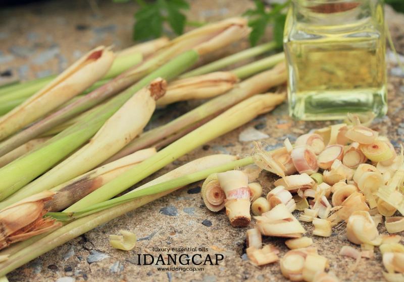 Tinh Dầu Sả Chanh Nguyên Chất – Lemongrass Essential Oil