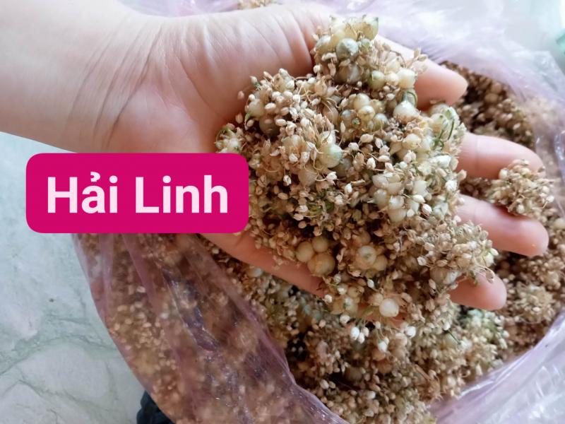 Tinh Dầu Tràm Hải Linh