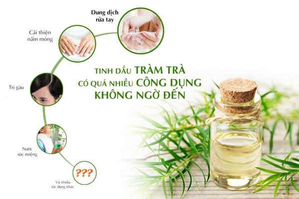 Tinh dầu Tràm Trà có nhiều công dụng với sức khỏe