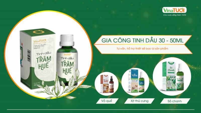 Tinh dầu tràm Vina Tươi