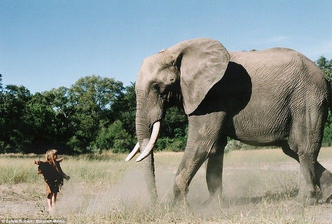 Tippi hoang dã - Alain Degré, Sylvie Robert