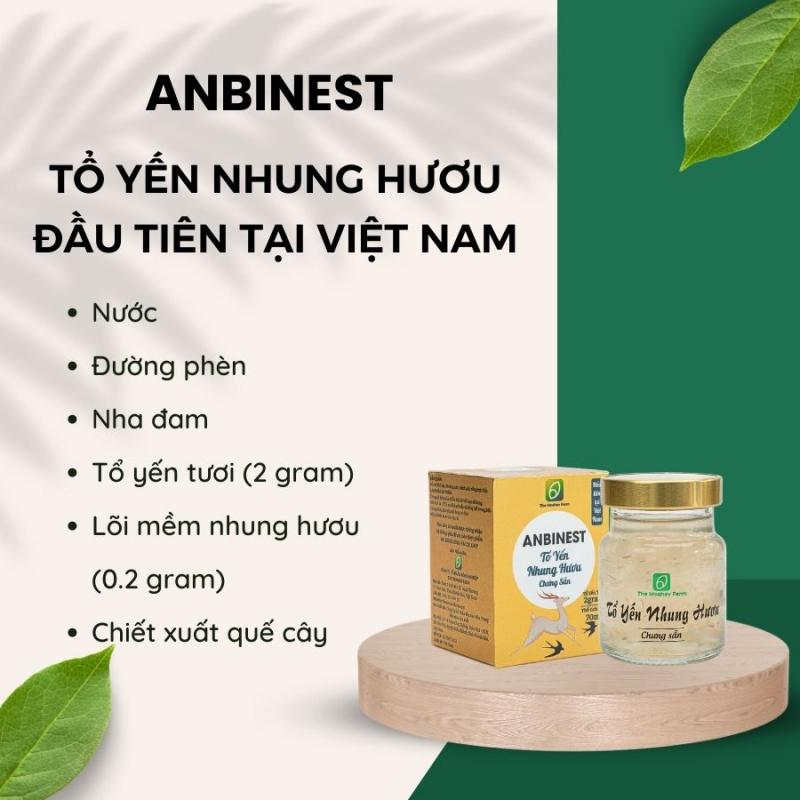 Tổ yến nhung hươu Anbinest