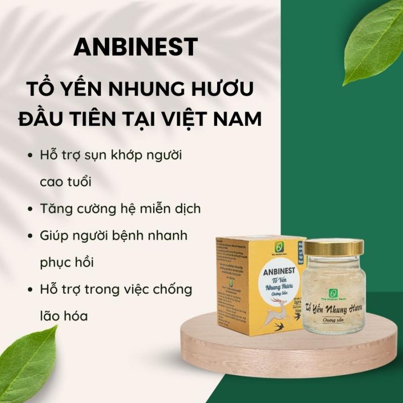 Tổ yến nhung hươu Anbinest