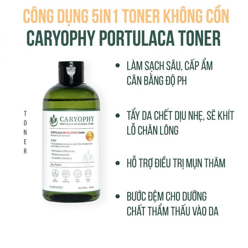 Toner Caryophy Portulaca không cồn Hàn Quốc - Nước hoa hồng ngăn ngừa mụn kiềm dầu giảm thâm