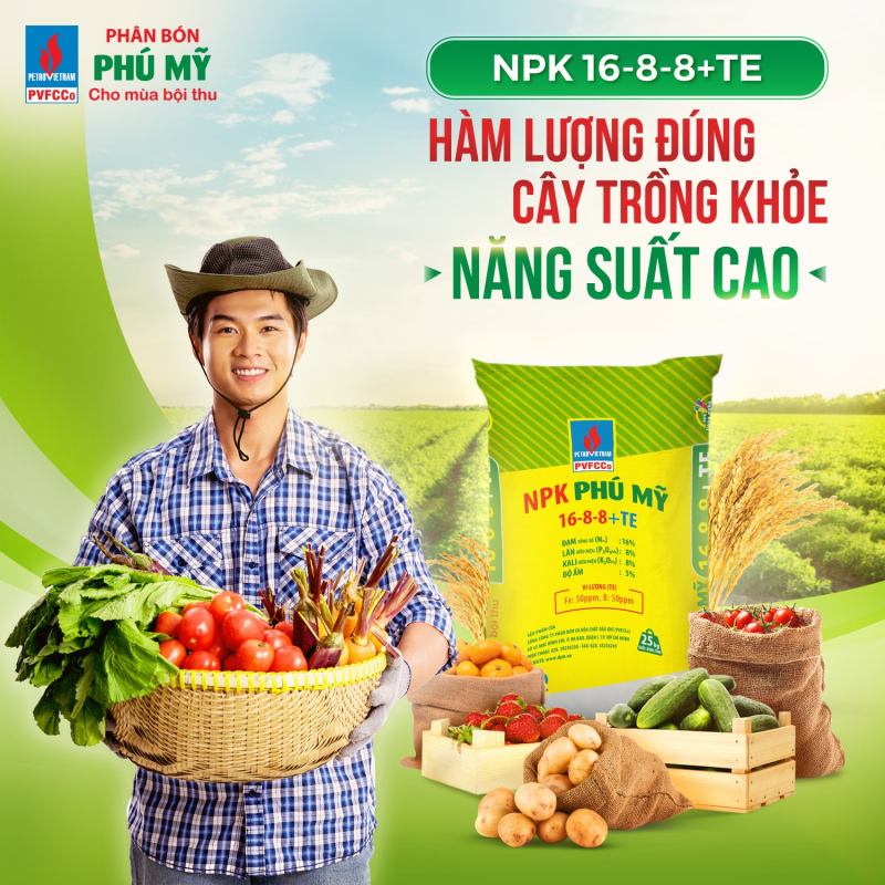 Tổng công ty phân đạm và hóa chất dầu khí (PVFCCo)