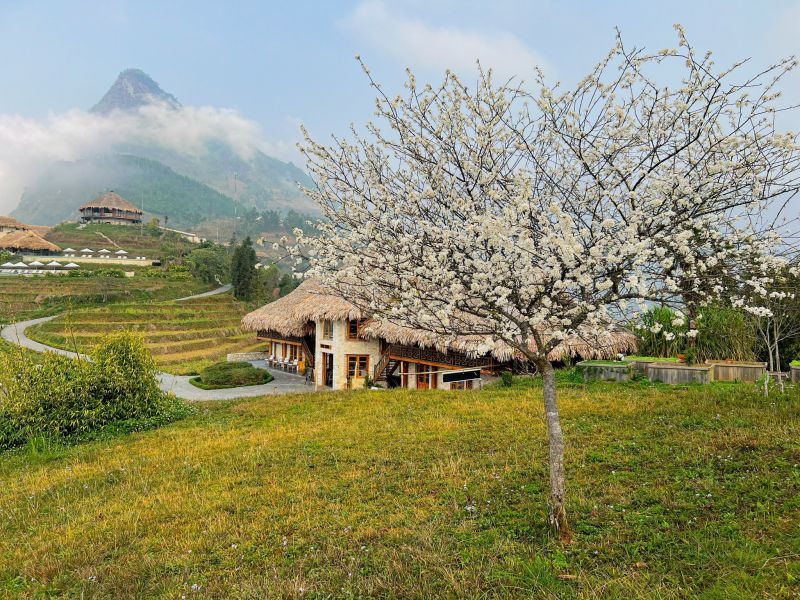 Topas Ecolodge Sapa