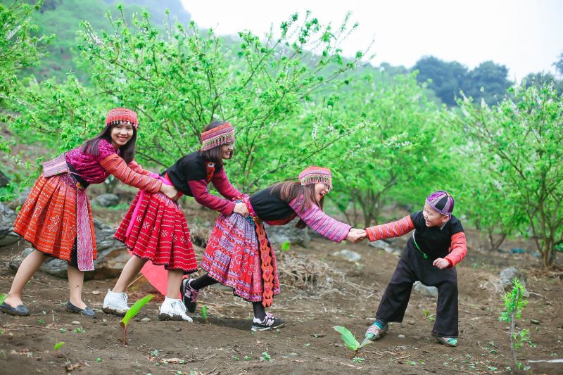 Tour du lịch Mộc Châu mùa hoa cải trắng 2 ngày 1 đêm từ Hà Nội