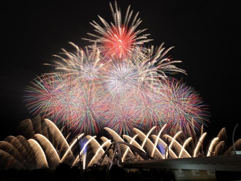 Toyota Oiden Fireworks Festival 2019