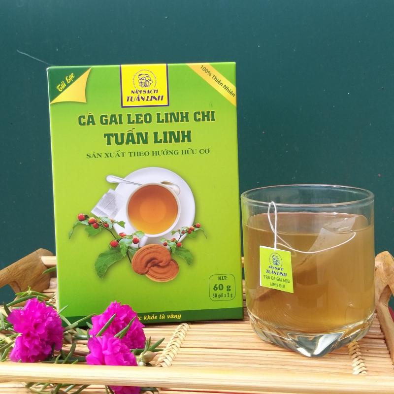 Trà Cà Gai Leo Linh Chi Tuấn Linh