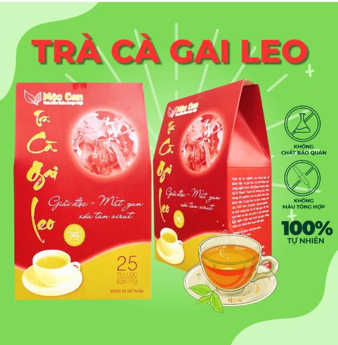 Trà cà gai leo Mộc Can